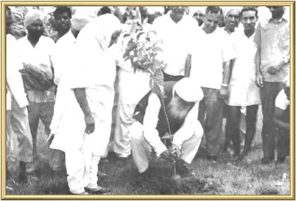 The first tree (a guava) is planted with the Master’s blessing …