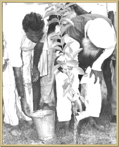 … and watered by His own hand