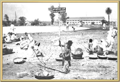 Many tasks, like the planting of new grass shoots around the sarovar, continued during the bhandara.